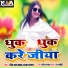 Bhim Lal Yadav, Sandhaya Sargam