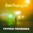 Группа Тюленева
