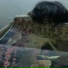 killmewrld