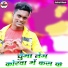 Krishna Zaik