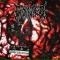 Gore Carnage