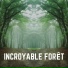 Sounds of the Forest