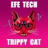Efe Tech