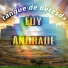 Edy Andrade