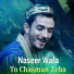 Naseer Wafa