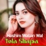 Hashim Watan Wal