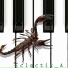 Eclectik A