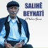Salıhe Beynati