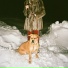 snow0