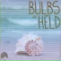 Bulbs Of Held, Kelton Prima