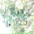clarn