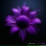 Junemix