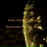 AAA Music House