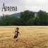 Aenema