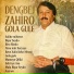 Dengbej Zahiro