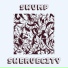 SWERVECITY
