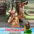 Rishi Sharma
