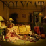 Polycat