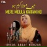 Syeda Sadaf Manzar