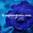 Sebastiano Giusto