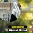 Ajmal Bilal