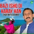 Shan Mir Kashmiri