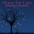 Cat Music, Cat Music Dreams, Cat Music Therapy