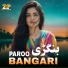 Paroo