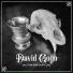 David Gogo