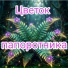 Емцев Андрей feat. Ева Емц