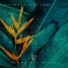 Gert-Jan Kleyne, Roy Gomes