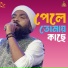 Raju Mandol