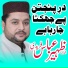 Zaheer Abbas Fareedi