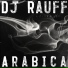 Dj Rauff