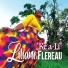 Liliane FLEREAU