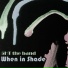 5HT the Band