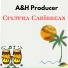 A&H Producer