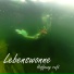 Lebenswonne