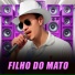 Ariel O Safadinho Do Xote
