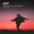Jost feat. LeftLukas