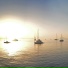 Sunfora