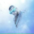 Ice Bro