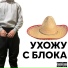 13013.png