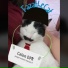 fazathecat