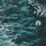 Nature Field Recordings