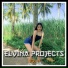 Elvina Projects