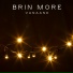 BRIN MORE