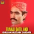 Ghulam Hussain Zardari
