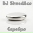 DJ Shved&co