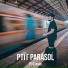 PtiTarnais